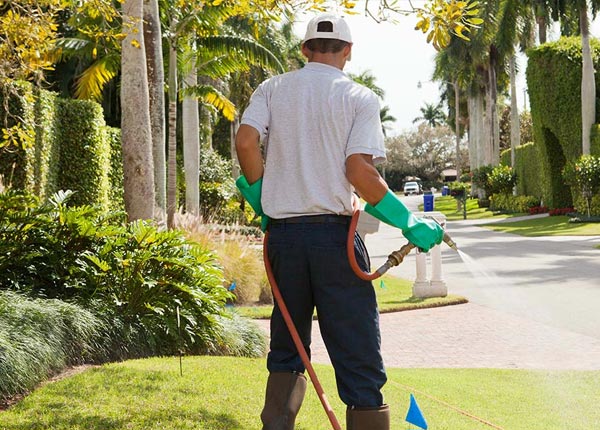 About Harvey IL Pest Control